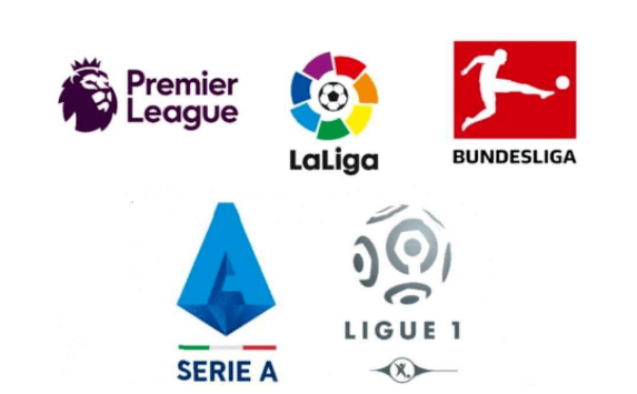 分为球队注 分为球队注